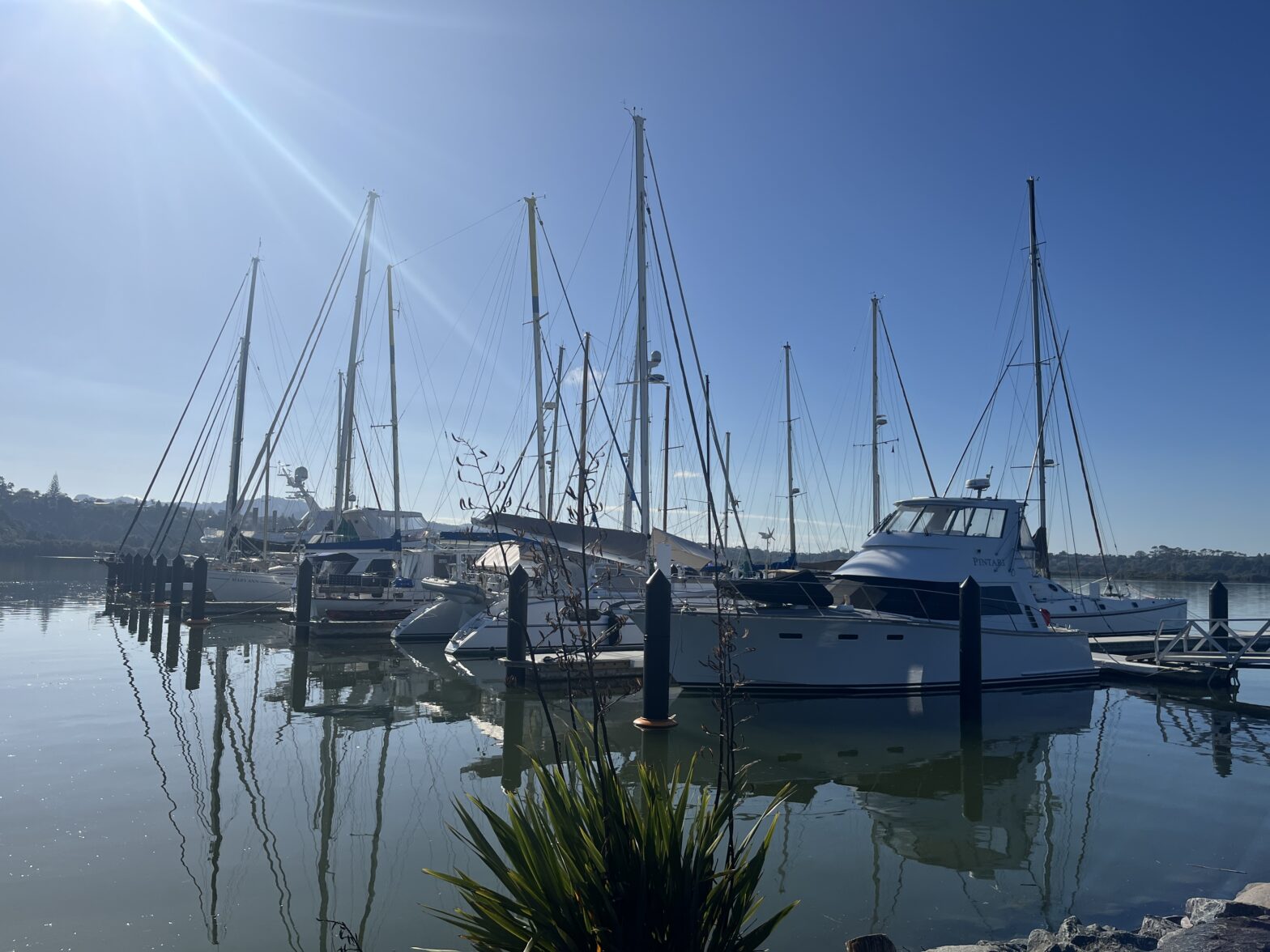 The Port Nikau Marina in Whangarei in the morning with sunshine