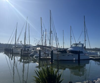 The Port Nikau Marina in Whangarei in the morning with sunshine